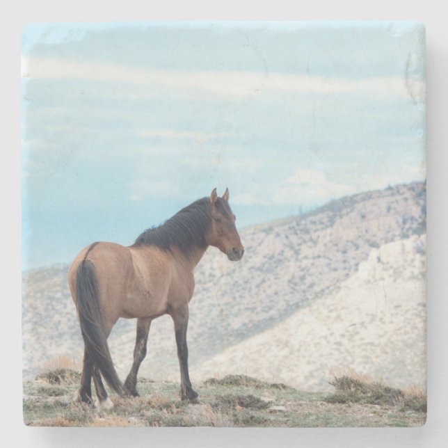 Wild Stallion Mustang Stone Coaster (Front)
