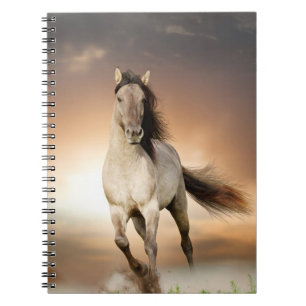 Wild Stallion Running In Sunset Notebook