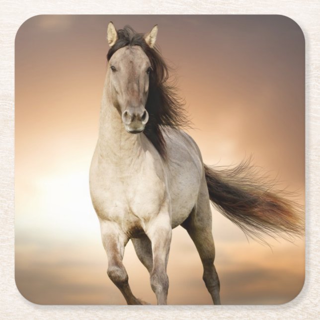 Wild Stallion Running In Sunset Square Paper Coaster (Front)