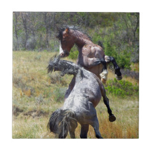 Wild Stallions Fighting Theodore Roosevelt NP Ceramic Tile