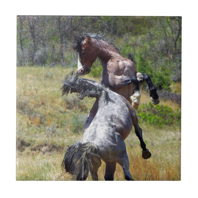 Wild Stallions Fighting Theodore Roosevelt NP Ceramic Tile (Front)