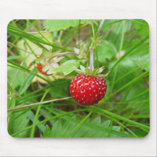 Wild Strawberry 1 Mouse Pad