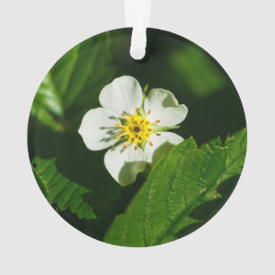 Wild Strawberry Flower Ornament