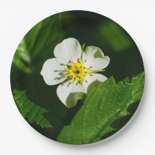 Wild Strawberry Flower Paper Plate