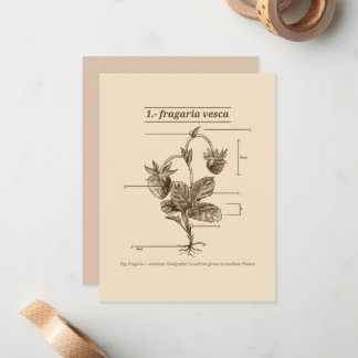 Wild Strawberry Plant Latin Etymology Nature Card