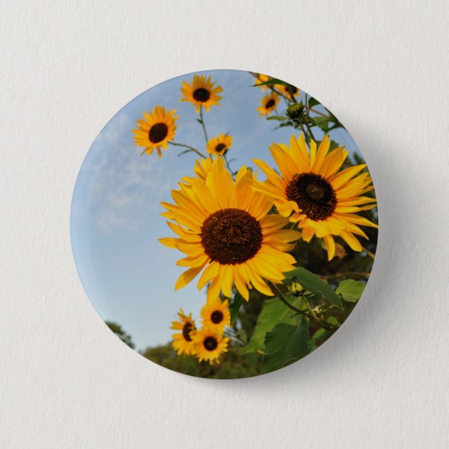 Wild Sunflowers 6 Cm Round Badge (Front)