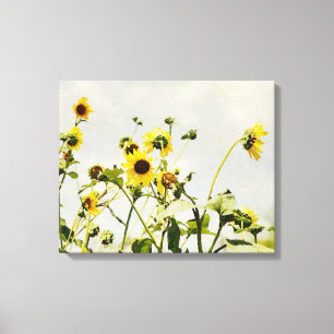 Wild Sunflowers and Grey Sky Art Canvas Print