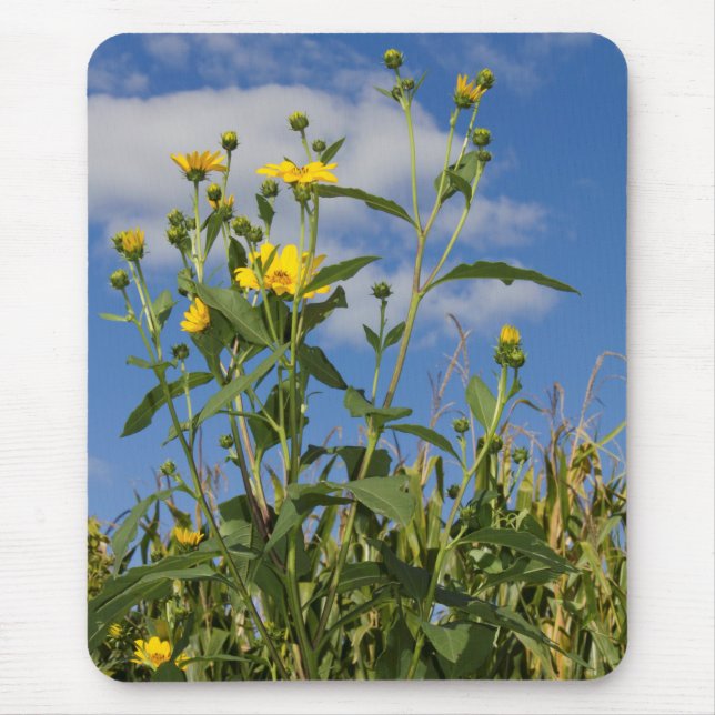 Wild Sunflowers Floral Flower Nature Photography Mouse Pad (Front)