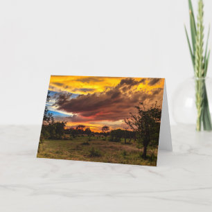 Wild sunset, South Africa Holiday Card