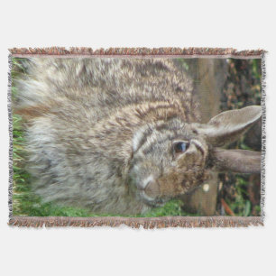 Wild Sweet Bunny Throw Blanket