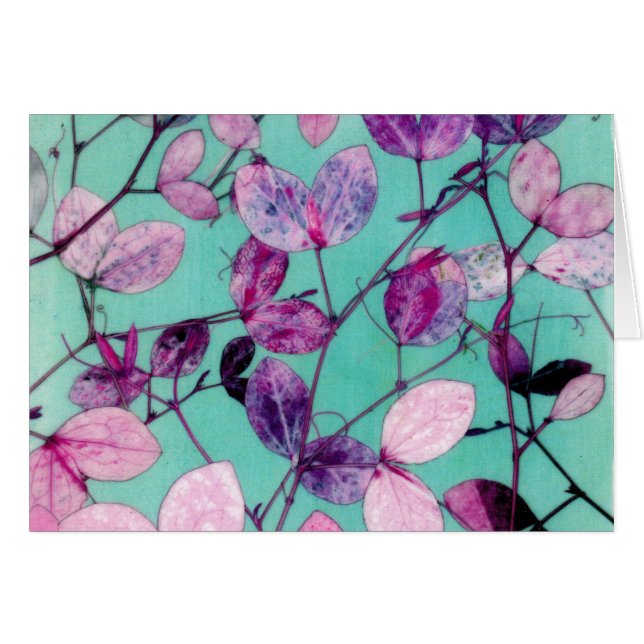 Wild Sweet pea Leaves (Front Horizontal)