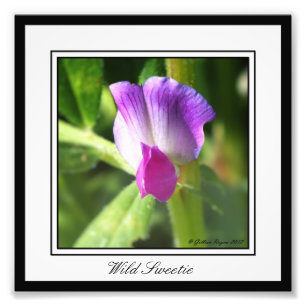 Wild Sweetie Photo Print