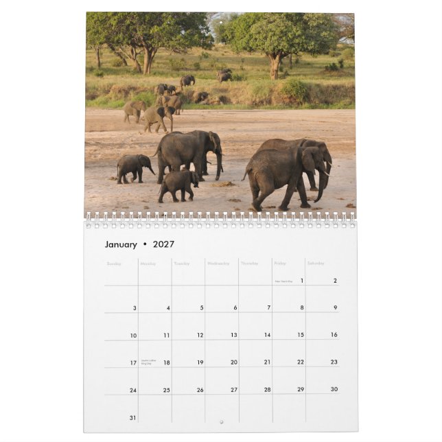 Wild Tanzania Calendar (Jan 2027)