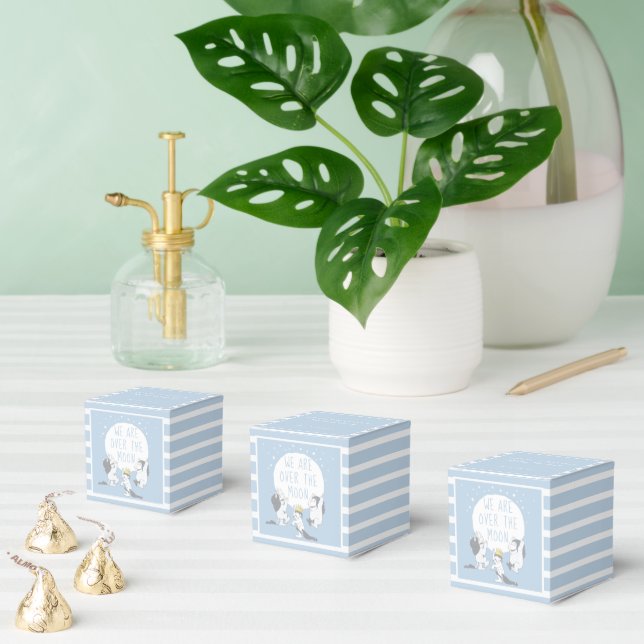 Wild Things | Over the Moon Boy Baby Shower Favour Box (Multiple)