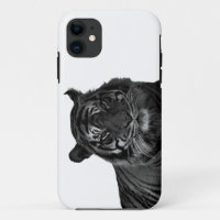 Wild Tiger Endangered Species Big Cats