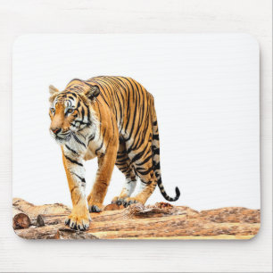 Wild Tiger on a Log Mouse Pad