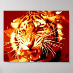 Wild Tiger Print Poster - Pop Art<br><div class="desc">Tiger Face Pop Art - Wild Animals - Wild Cats Tiger Head Digital Artwork</div>