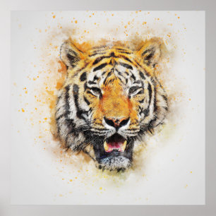 Wild Tiger Safari Jungle Artwork Photo Poster
