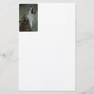 Wild Timber Wolf Howling Stationery