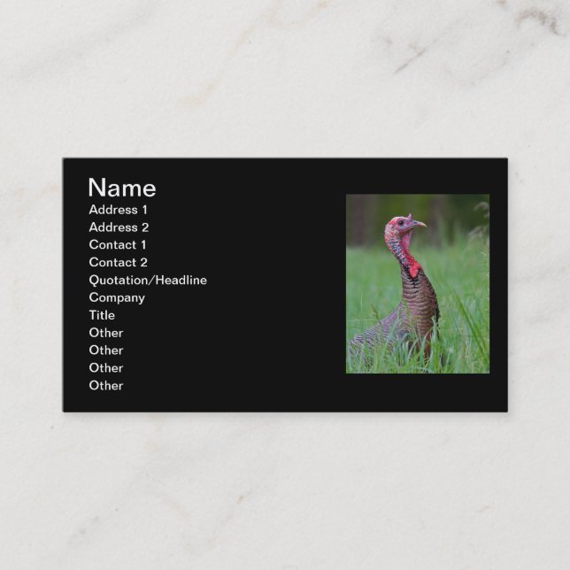 Wild Tom Business Card (Front)