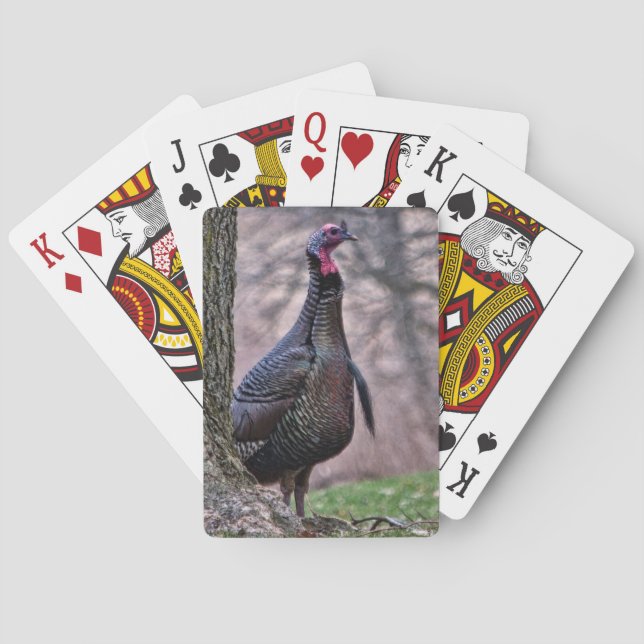 Wild Tom Turkey Playing Cards (Back)