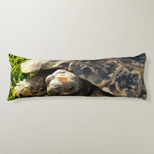 Wild Tortoise In Grass Meadow Wildlife Art Body Cushion