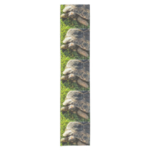 Wild Tortoise In Grass Meadow Wildlife Art Short Table Runner