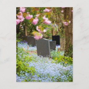 Wild tranquillity, beautiful churchyard. Hopwas UK Postcard