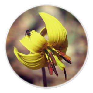 Wild Trout Lily Flower And Insect Friend Ceramic Knob