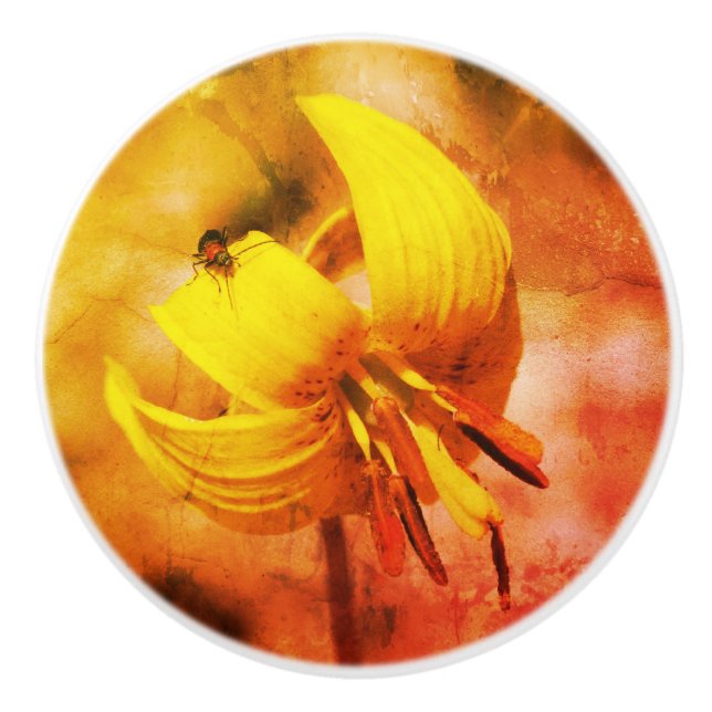 Wild Trout Lily Flower And Insect Friend  Ceramic Knob (Front)
