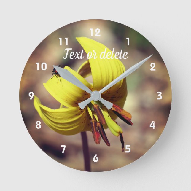 Wild Trout Lily Flower And Insect Friend   Round Clock (Front)