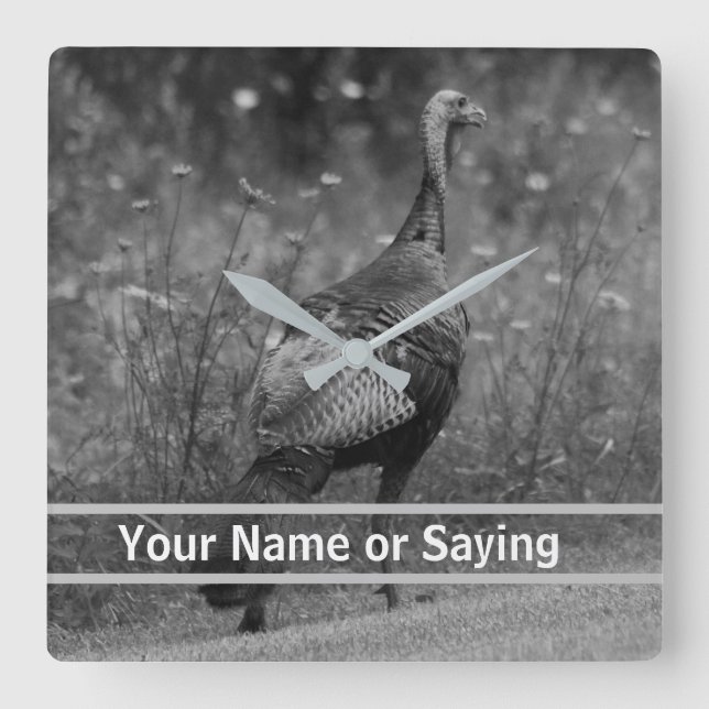 Wild Turkey B&W photo Square Wall Clock (Front)