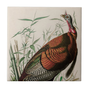 Wild Turkey Birds of America Audubon Print Ceramic Tile