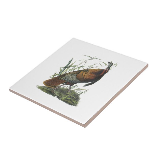 Wild Turkey by Audubon Ceramic Tile (Side)