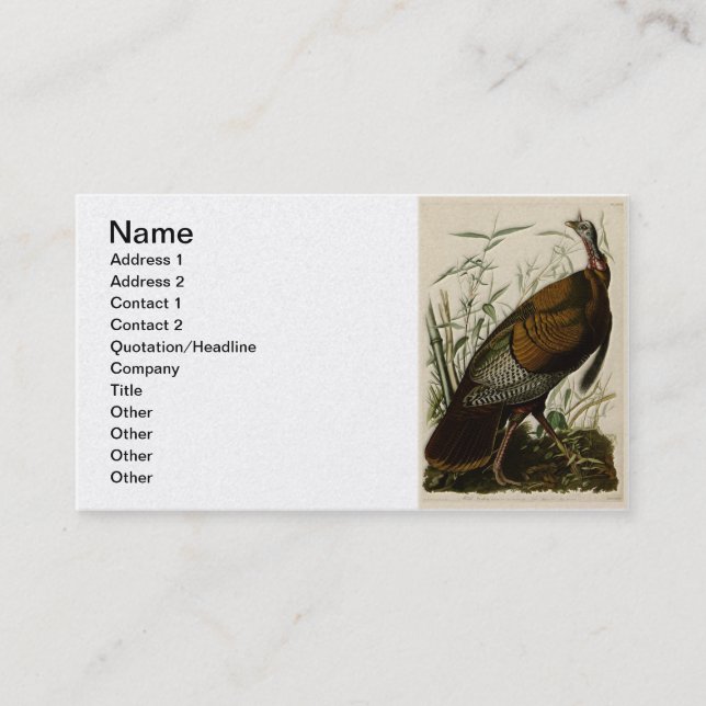 Wild Turkey by John Audubon Business Card (Front)