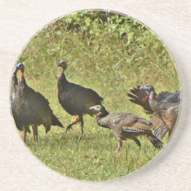 Wild Turkey, Camouflage colors Coaster (Front)