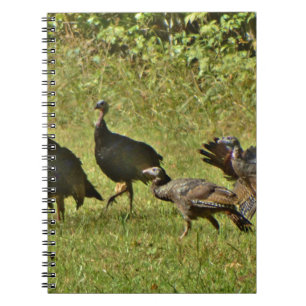 Wild Turkey, Camouflage colors Notebook
