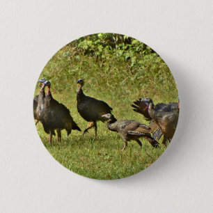 Wild Turkey, Camouflage colours 6 Cm Round Badge