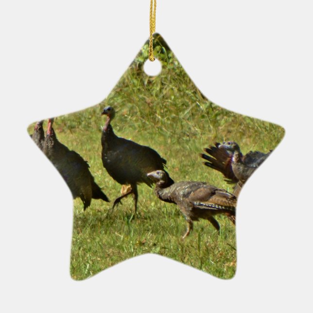 Wild Turkey, Camouflage colours Ceramic Ornament (Front)