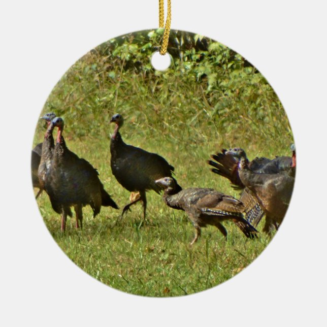 Wild Turkey, Camouflage colours Ceramic Ornament (Front)