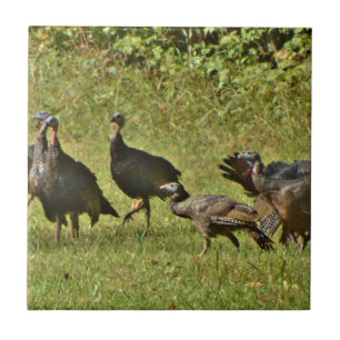 Wild Turkey, Camouflage colours Ceramic Tile