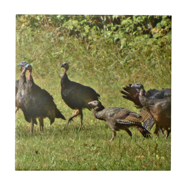 Wild Turkey, Camouflage colours Ceramic Tile (Front)