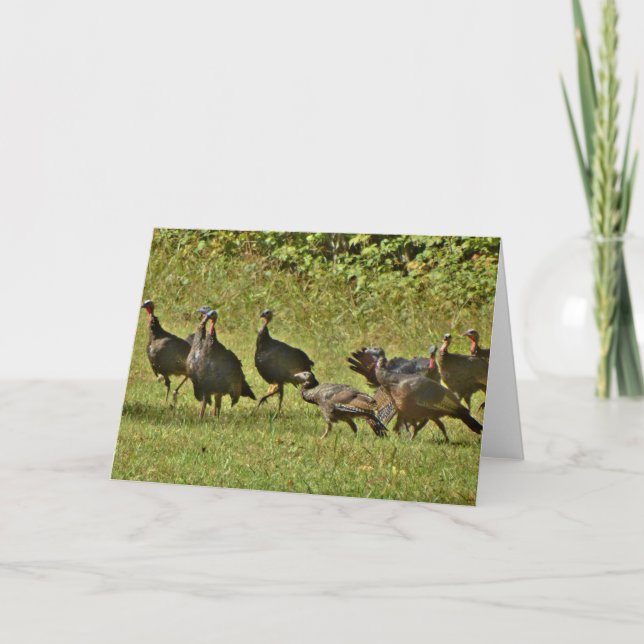 Wild Turkey, Camouflage colours Holiday Card (Front)