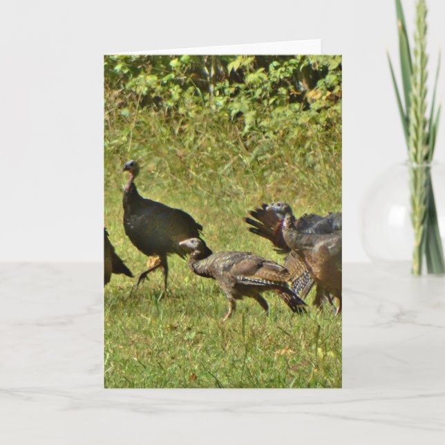 Wild Turkey, Camouflage colours Holiday Card (Front)