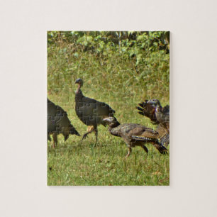 Wild Turkey, Camouflage colours Jigsaw Puzzle