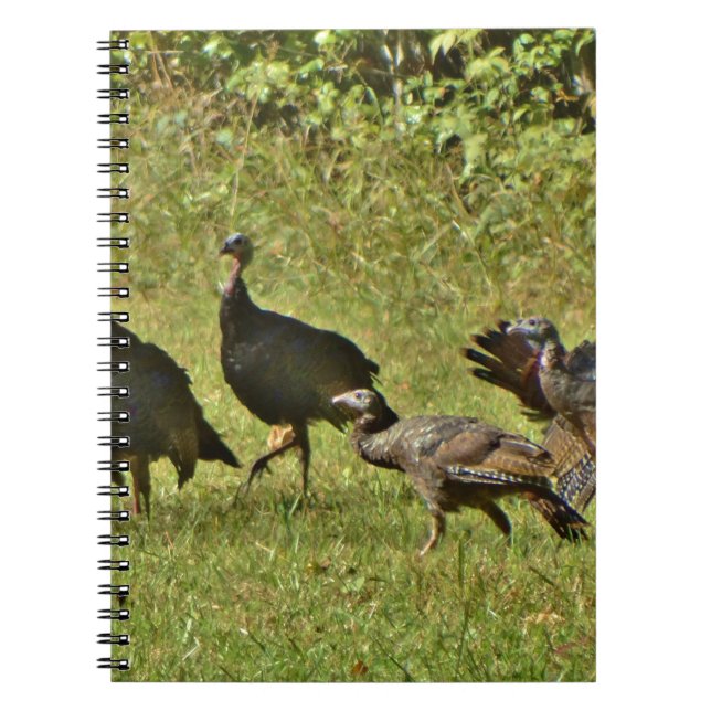 Wild Turkey, Camouflage colours Notebook (Front)