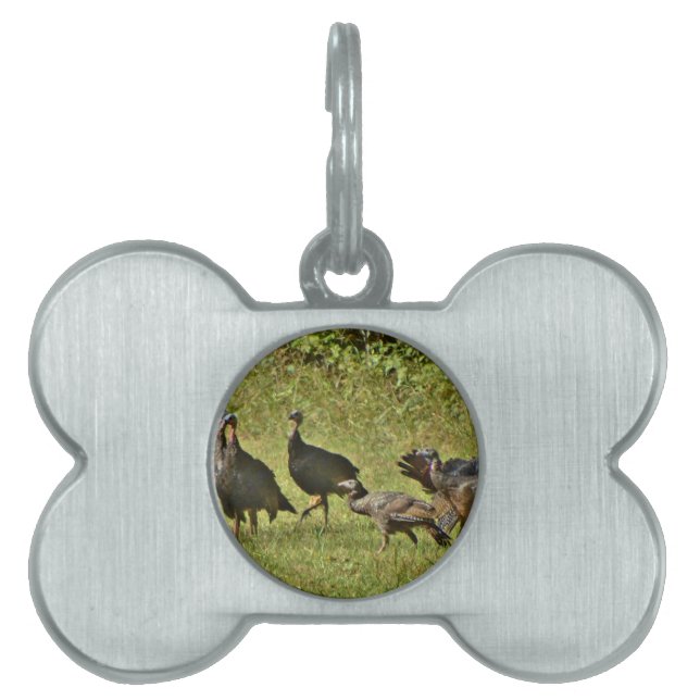 Wild Turkey, Camouflage colours Pet ID Tag (Front)