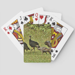 Wild Turkey, Camouflage colours Playing Cards