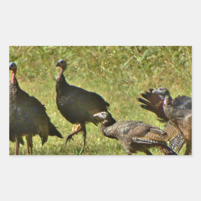Wild Turkey, Camouflage colours Rectangular Sticker (Front)
