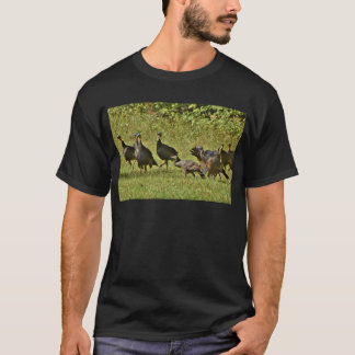 Wild Turkey, Camouflage colours T-Shirt